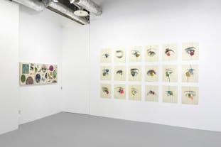 Venus: Ozone 7. 2023